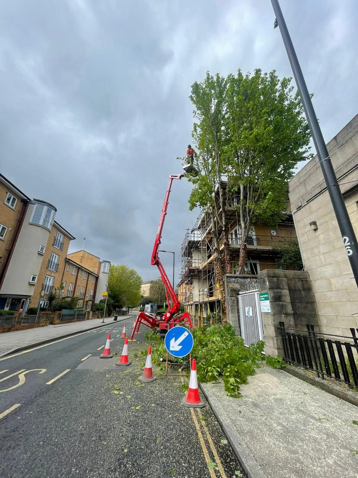 Tree Crown Reduction On Highway Finchley